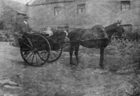 mule trap & churn c 1910