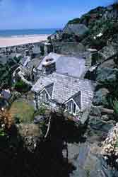 looking over Ruskins' cottages